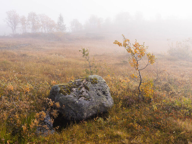 Seasons of Åre - Niclas Vestefjell - Fotograf Åre