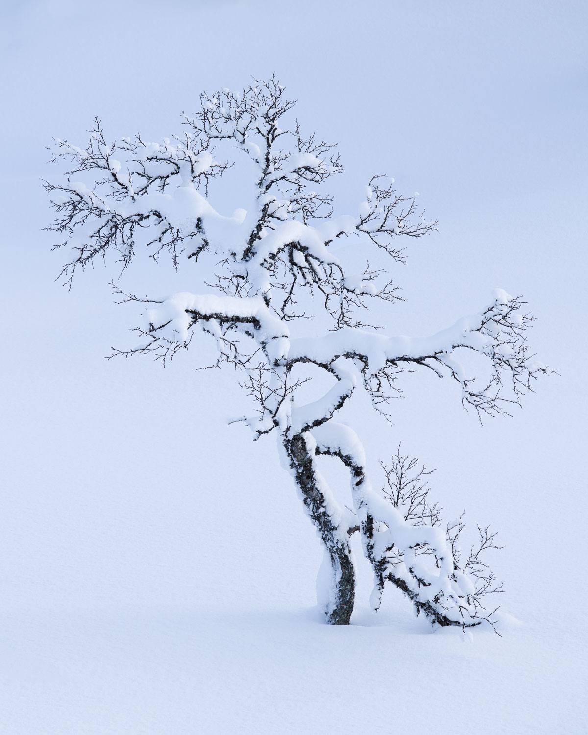 Fotograf i Åre Niclas Vestefjell