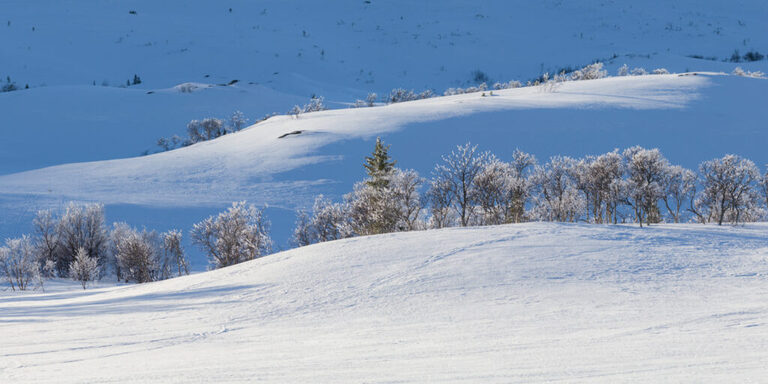 Fotograf i Åre Niclas Vestefjell