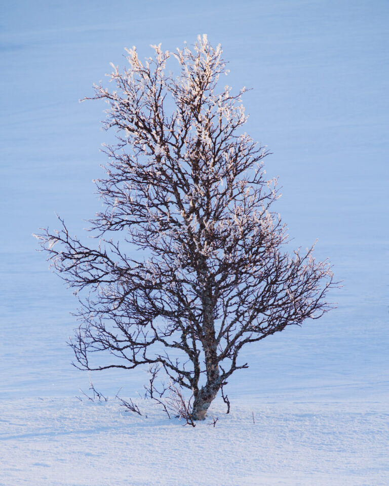 Fotograf i Åre Niclas Vestefjell