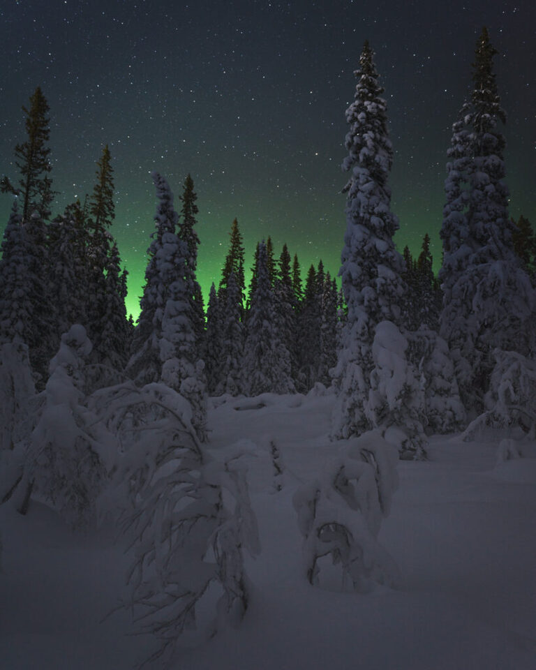 Fotograf i Åre Niclas Vestefjell