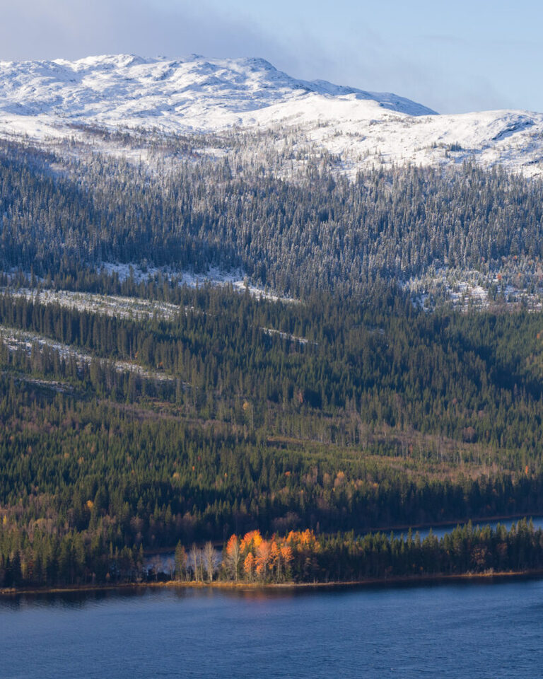 Fotograf i Åre Niclas Vestefjell